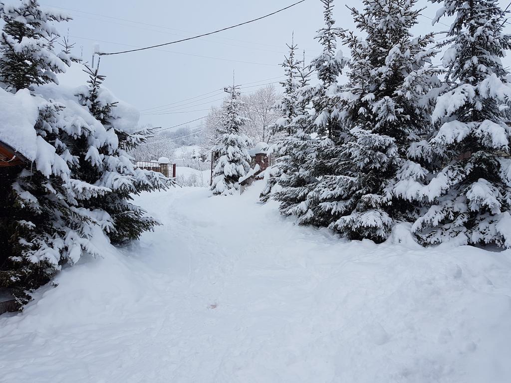 Aspen Ξενοδοχείο Slavske Εξωτερικό φωτογραφία